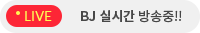 bj 실시간 방송중